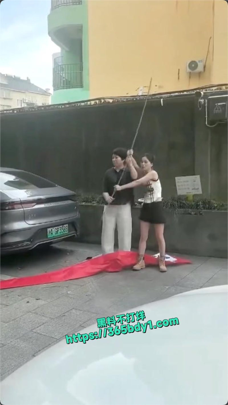 浙江嘉兴平湖滨水广场小三和原配撕起来了6