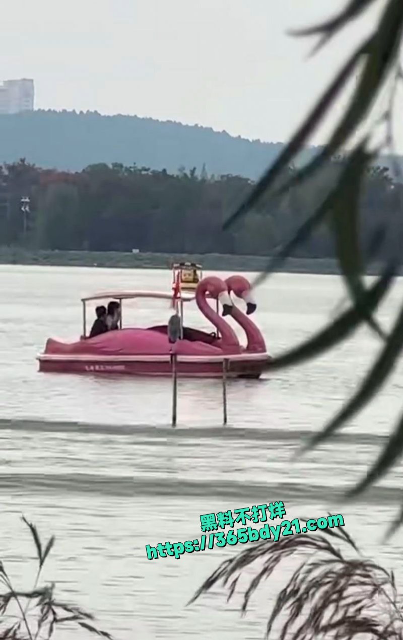 小情侣景区湖中游船上做爱被偷拍 3