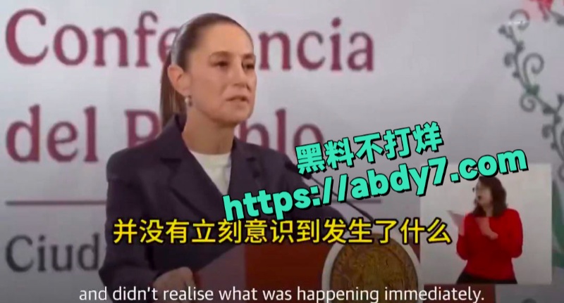 墨西哥女总统谢因鲍姆遭街头性骚扰 5