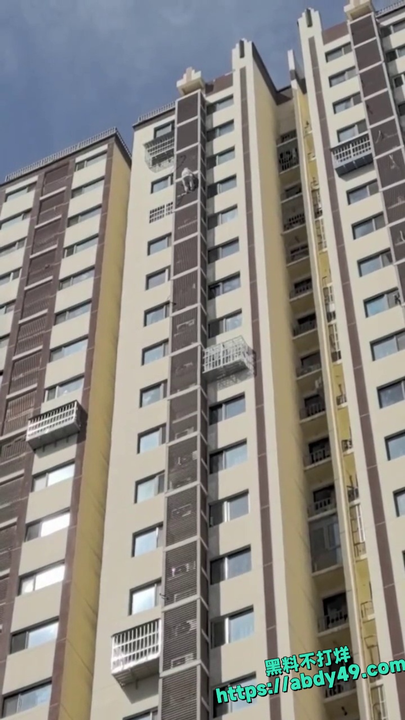 老太太高空爬墙心理素质真好4