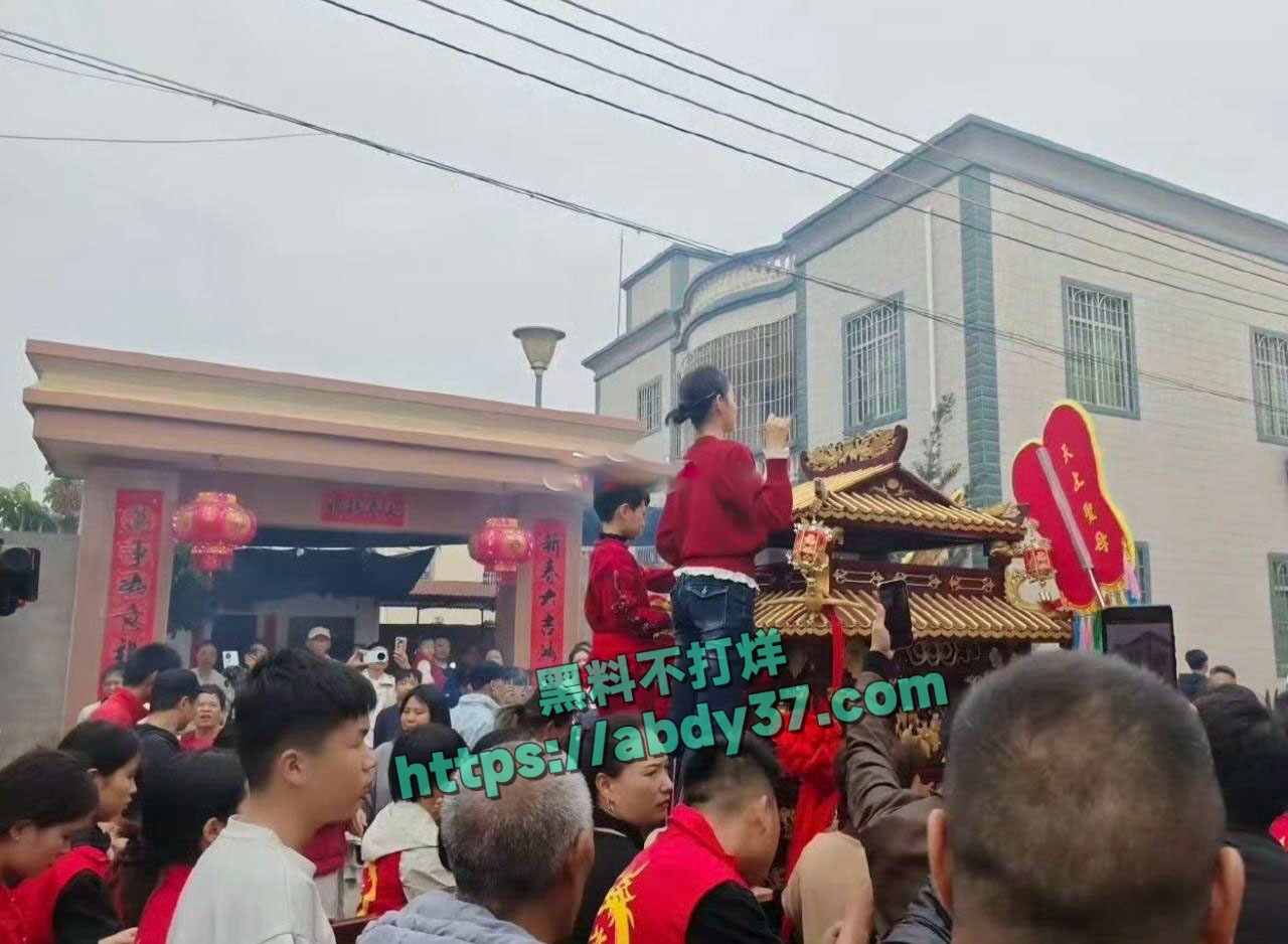 湛江通报妈祖巡游事件 10