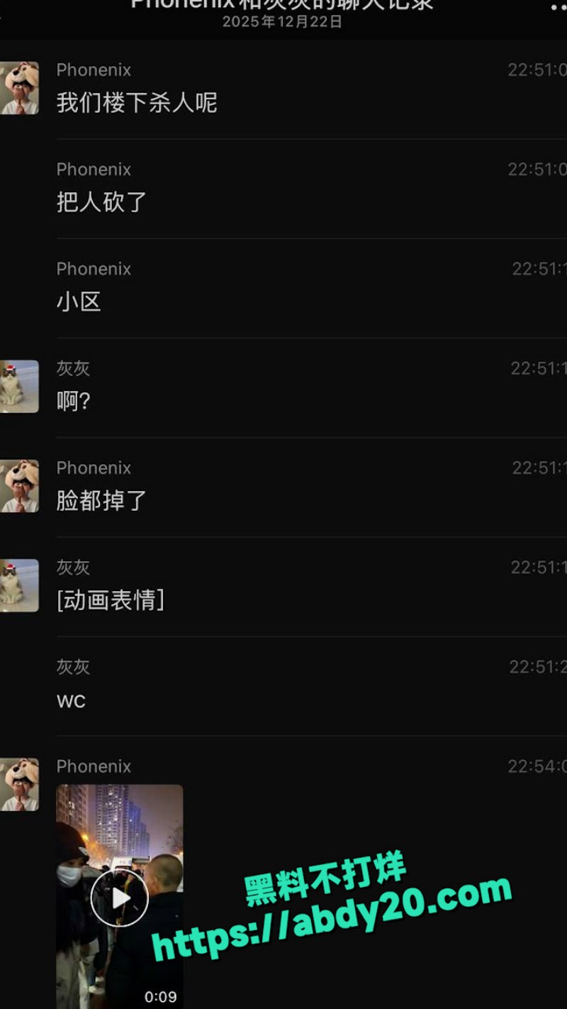 9号楼突发砍人事件 8