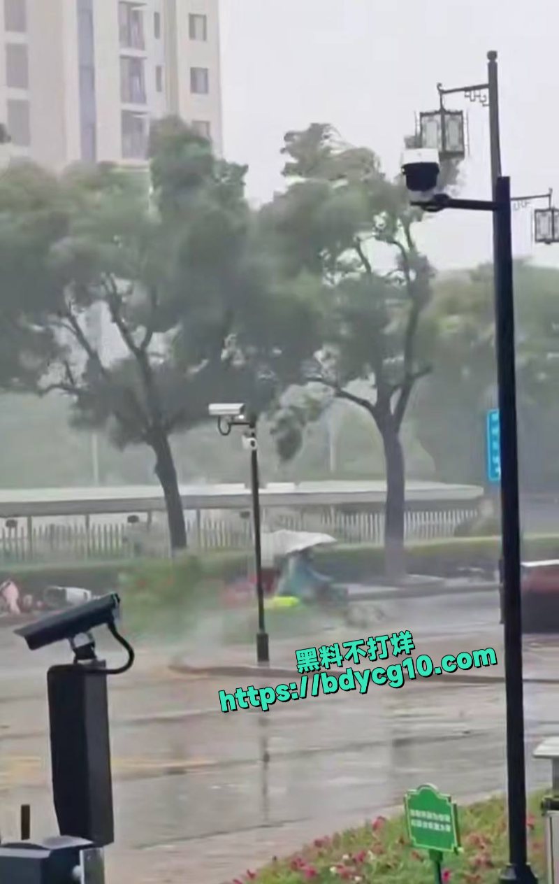 超级台风韦帕登录广东所到之处一片狼藉4