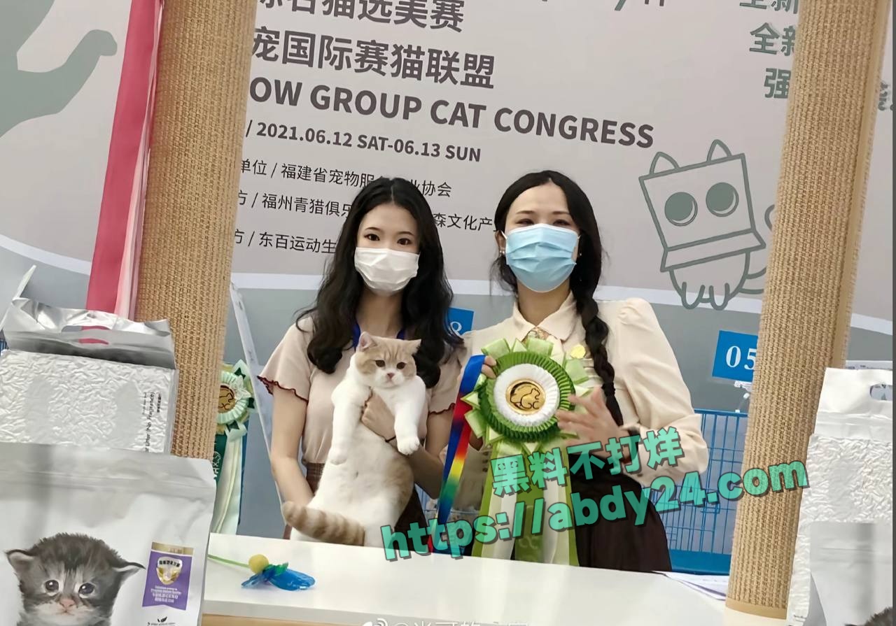 抖音网红童锦程私生子事件反转 13