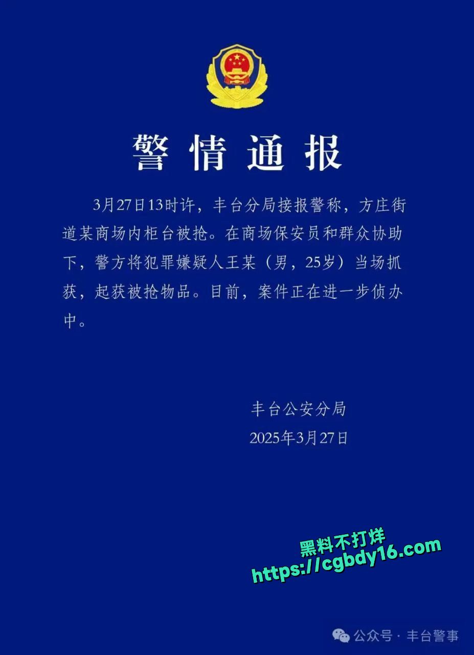 北京丰台方庄街道商场抢劫事件1