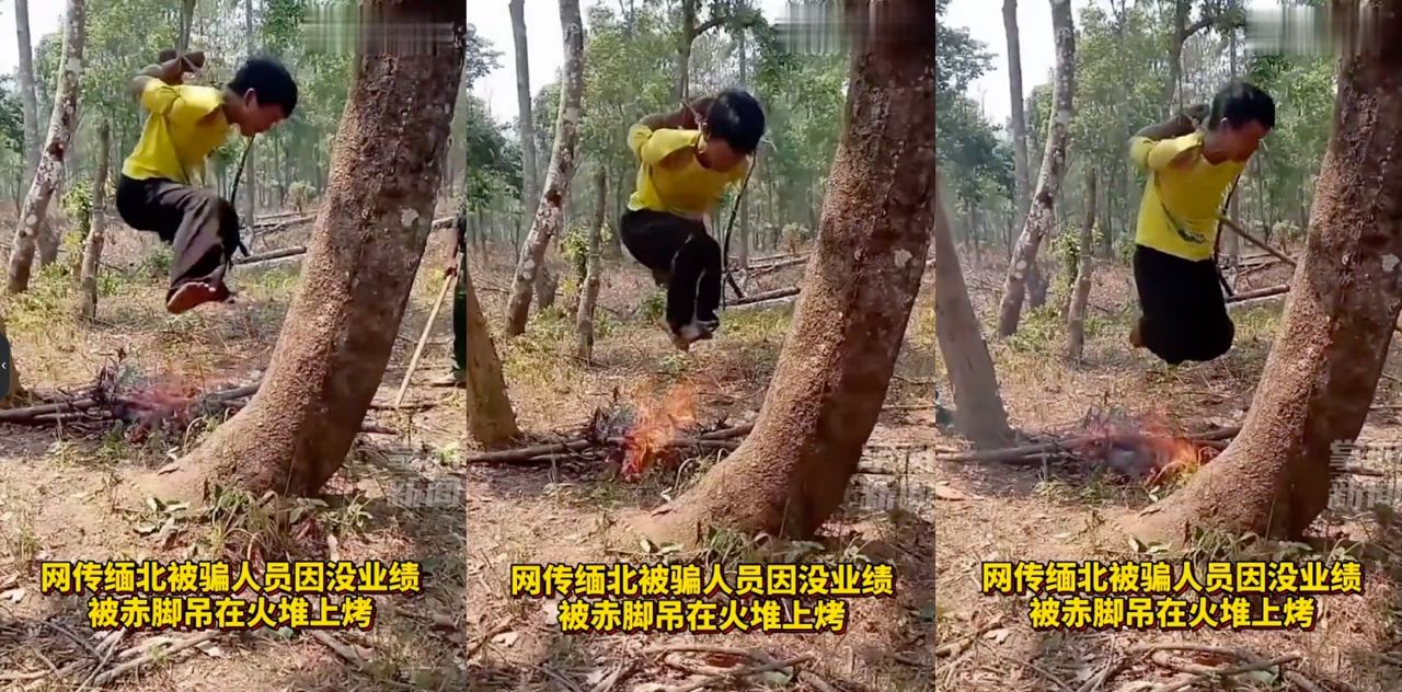 【毫无人性】缅北被骗人员，因无法完成业绩，被吊在树上火烤！就像温水煮青蛙一样残忍！！