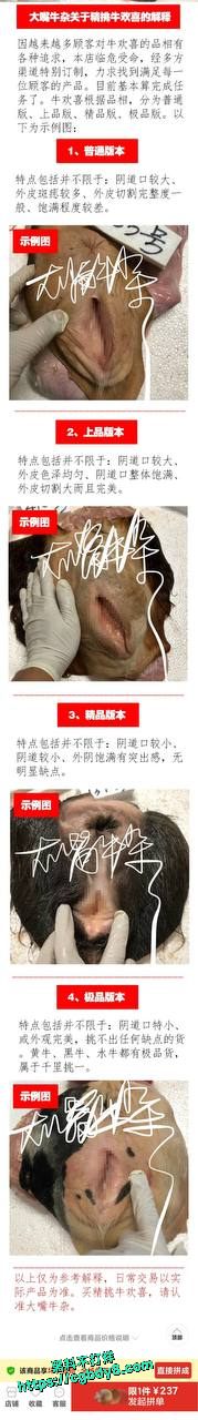 牛欢喜6.jpg