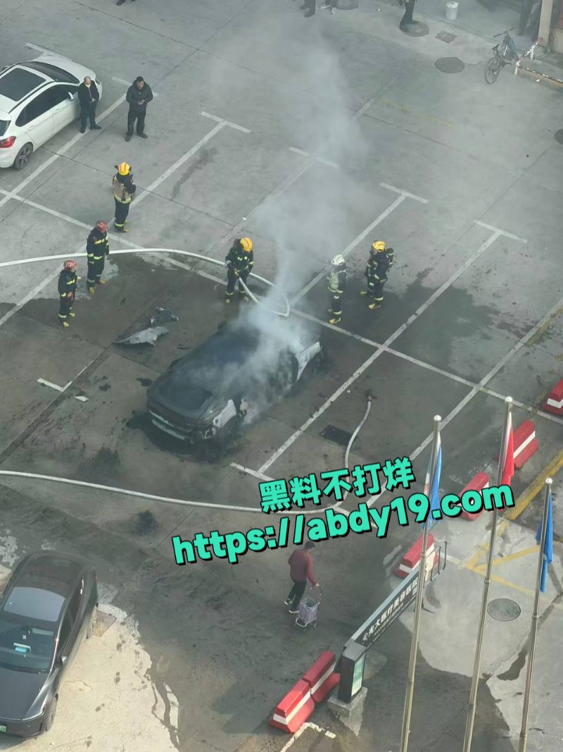 新能源烧车现场2