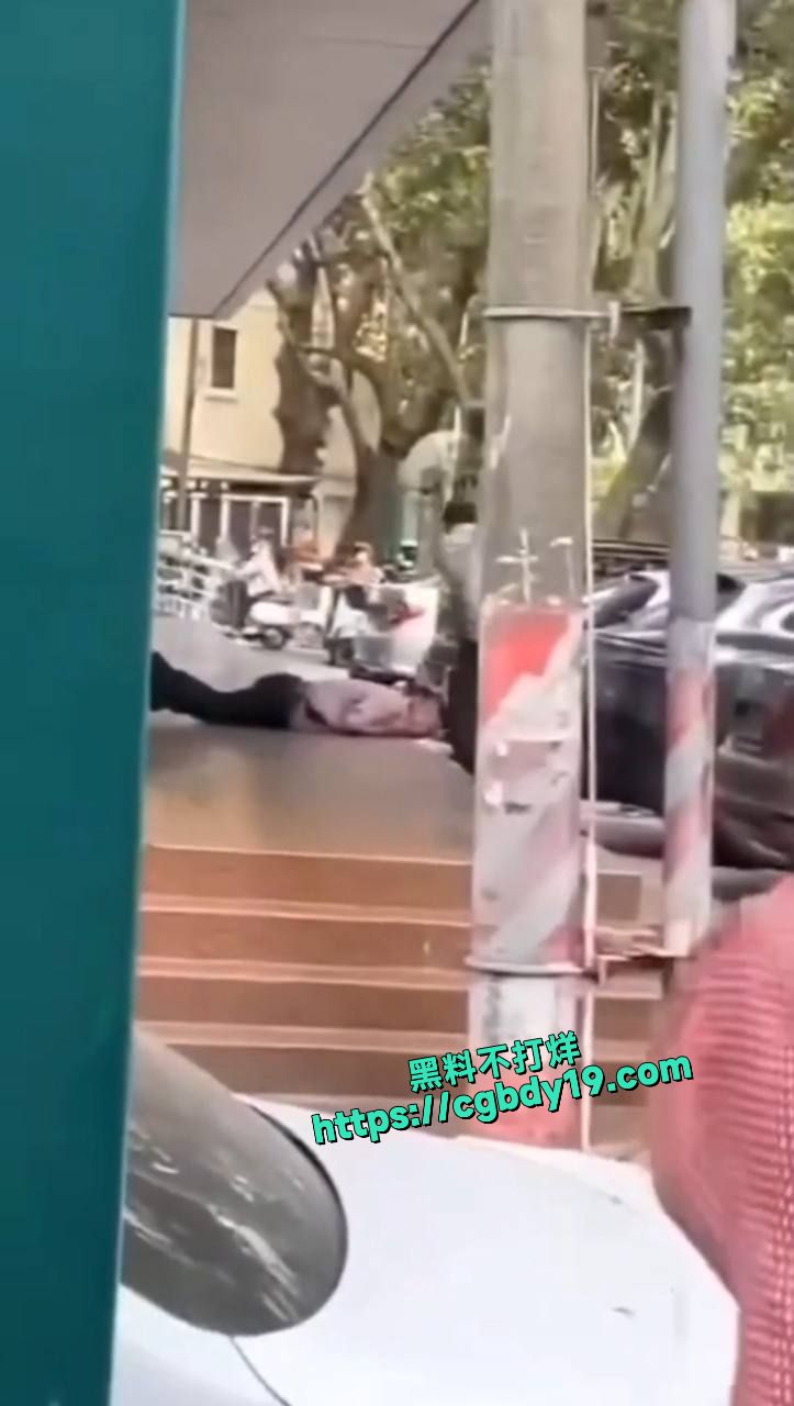 广东省湛江市霞山区爱国街道办金晓华副书记被访民用锄头砸头场毙命5