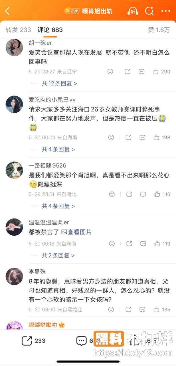 肖旭 石蕊1