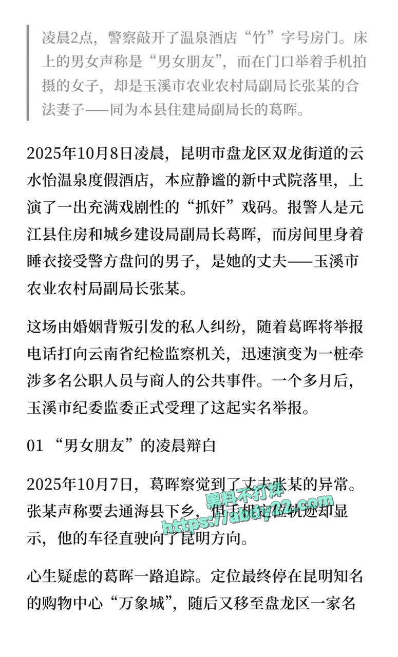 玉溪市元江县农业局副局长张颖出轨 3