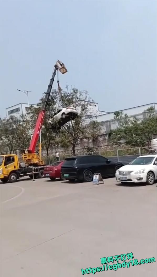 宜宾长宁飞车 上树5