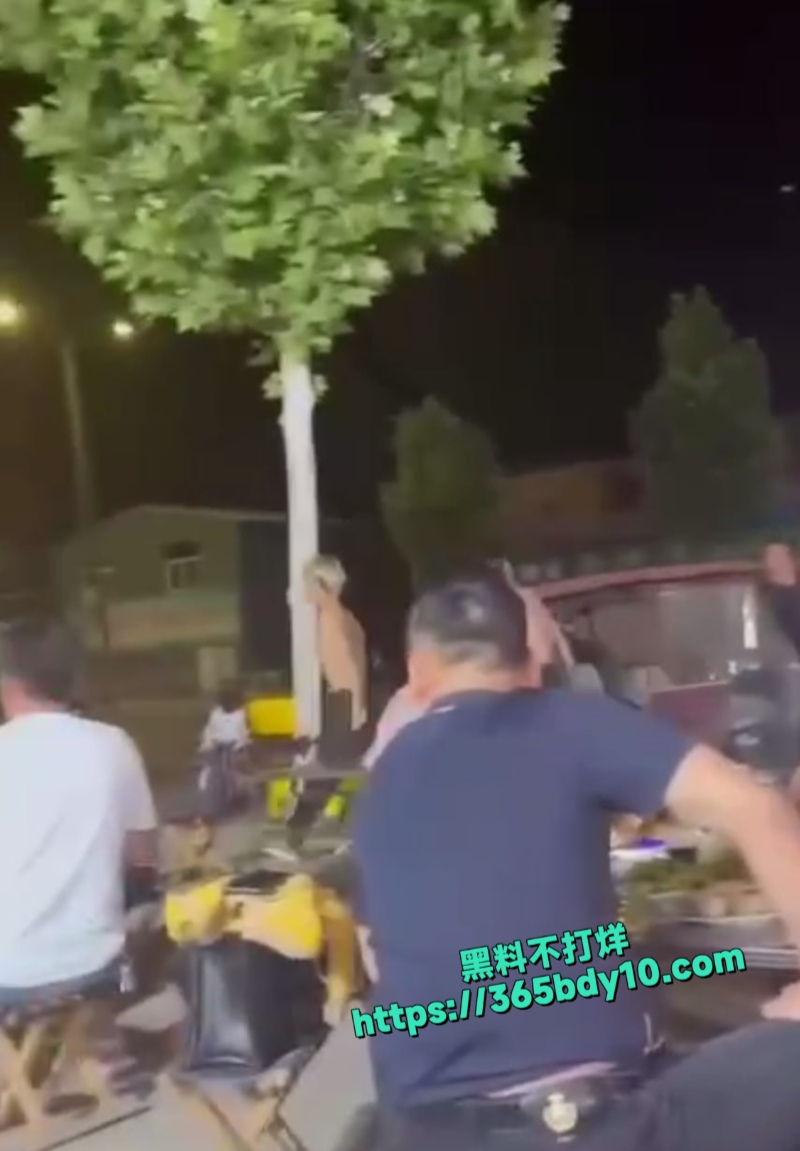 精神小伙爱打架