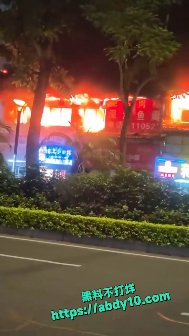 河北廊坊 鸿坤理想 11
