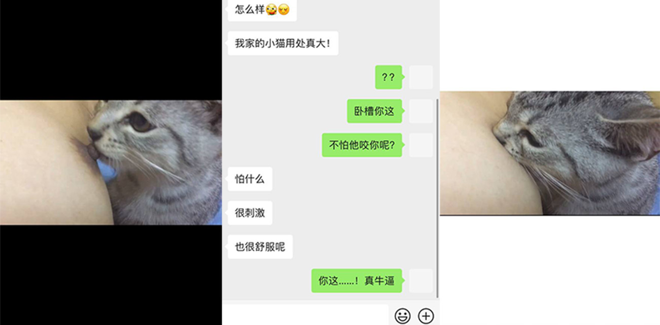 变态骚女一个人饥渴难耐 让小猫咪吃自己奶子自慰 也不怕被咬下来都没脸去医院