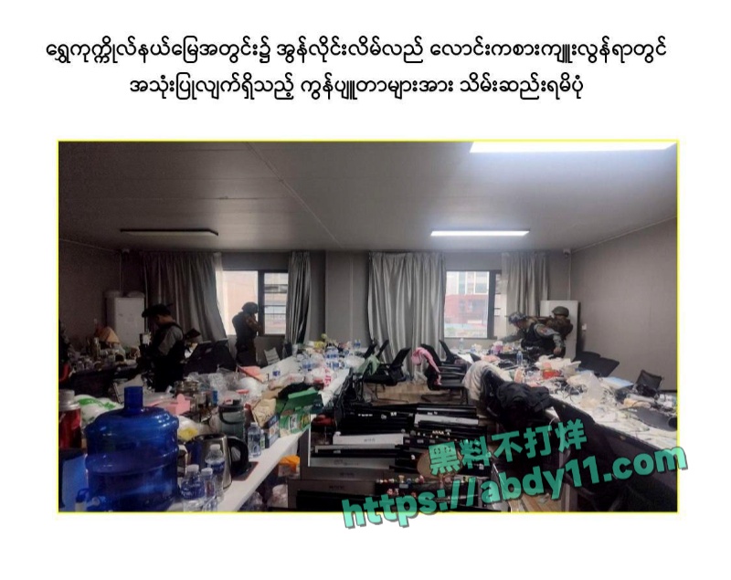 缅甸诈骗头目佘智江引渡回国 8