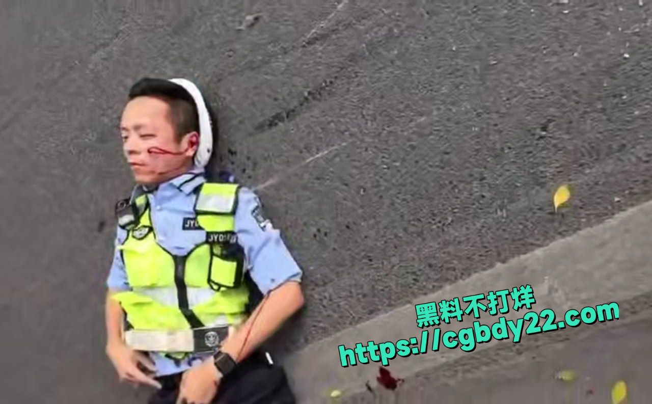 广东潮汕车祸撞人拦车6