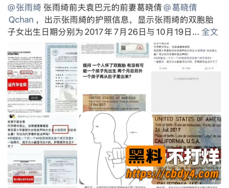 张雨绮代孕黑料 5