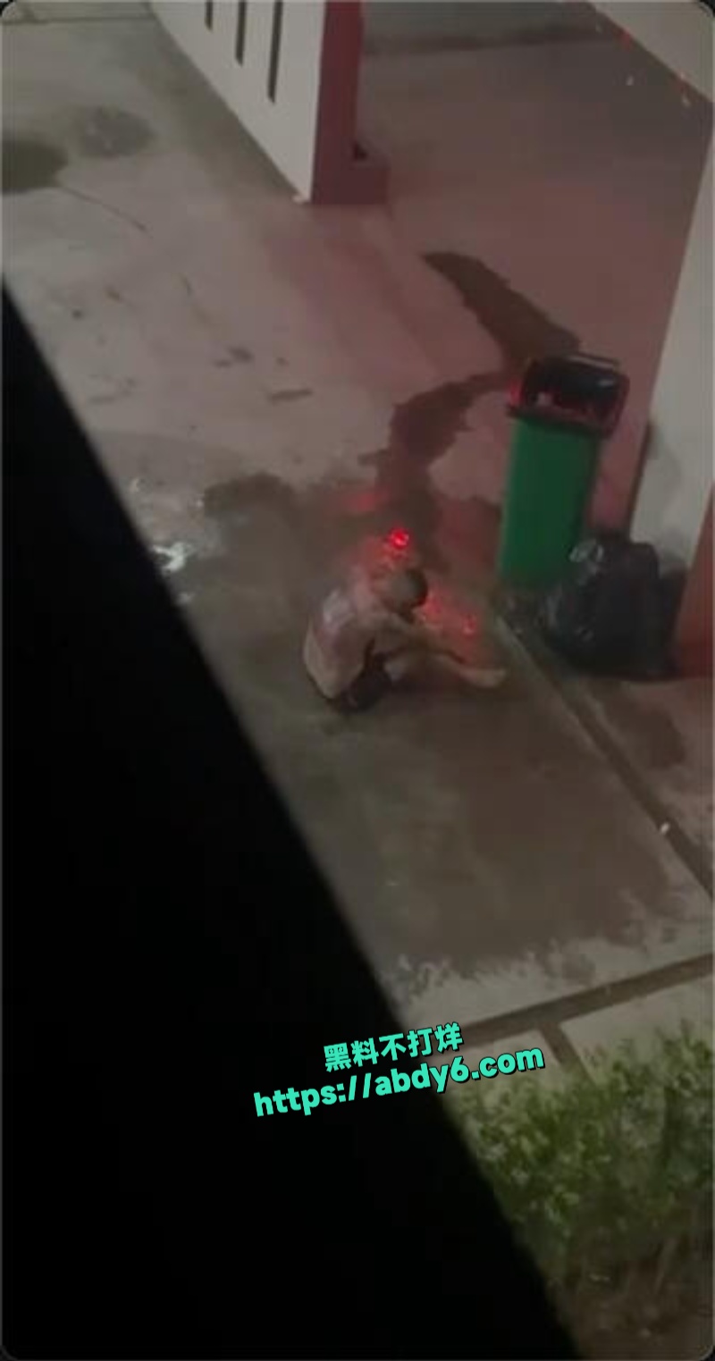 财通幸运园区突发杀人事件 8
