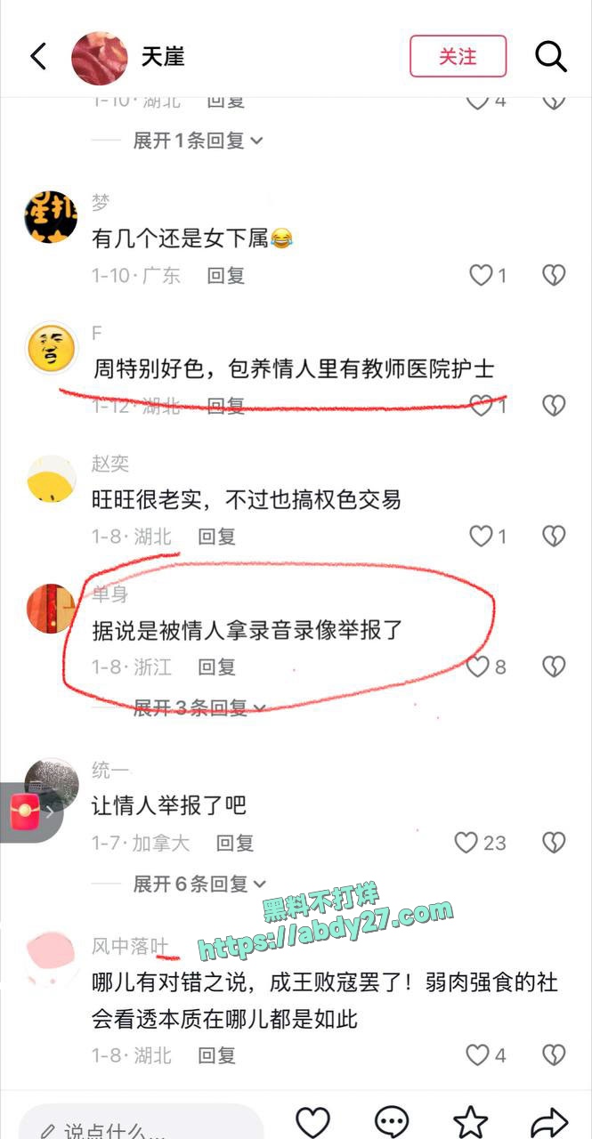 武汉市前市长周先旺落马 16