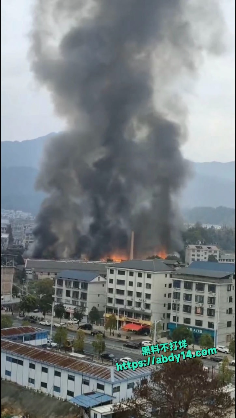 湖南株洲炎陵县工业园突发大火 5