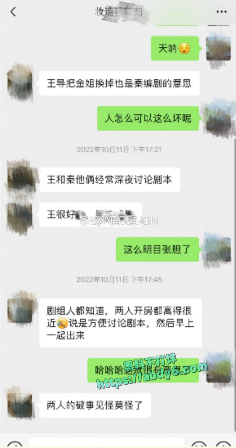 中国影视编剧古二爆王家卫秦雯录音 3