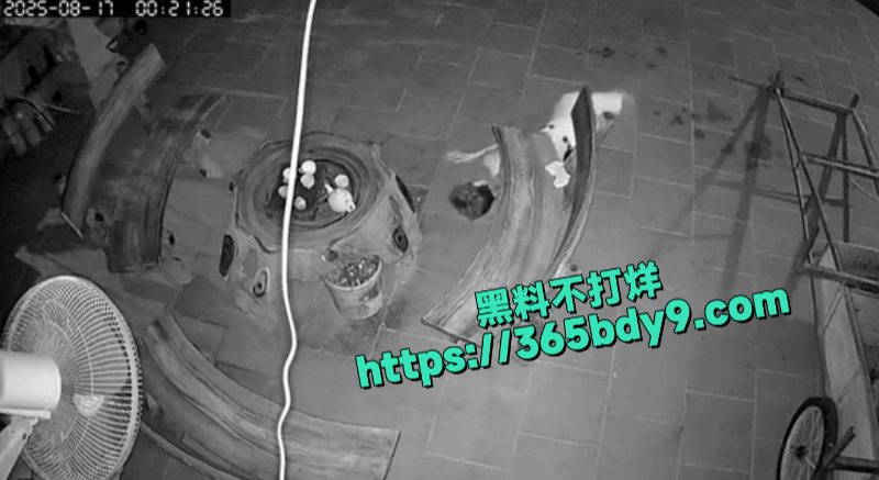 越南毒妇捅死自己老公5