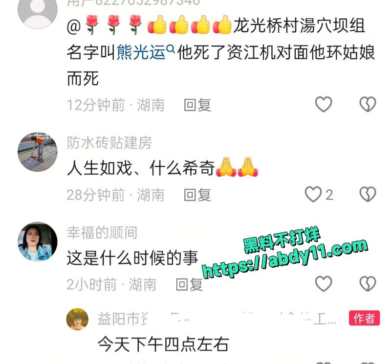 益阳又一大新闻9