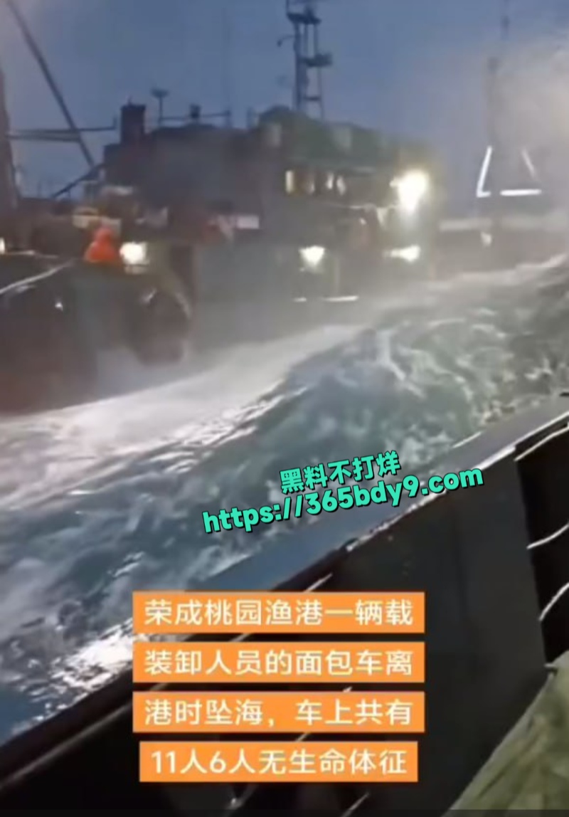 山东荣成市桃园渔港大事故2