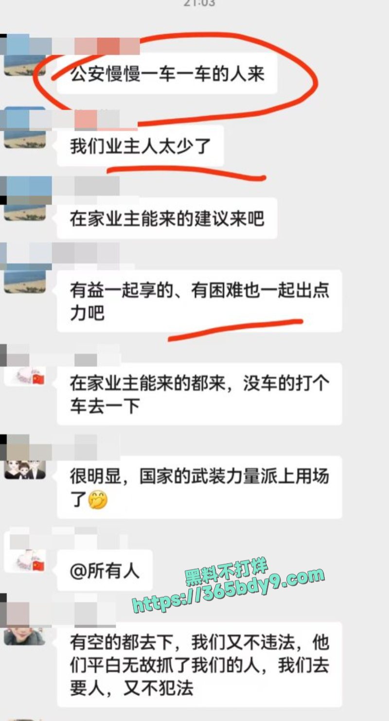 新力城业主因学区问题前往政府维权5