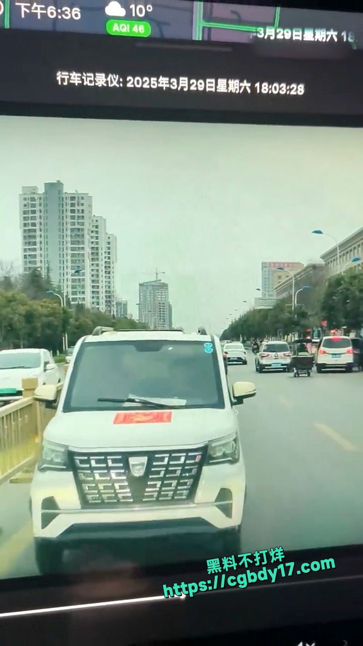 老头乐逆行老人下车给特斯拉车主一顿骂1