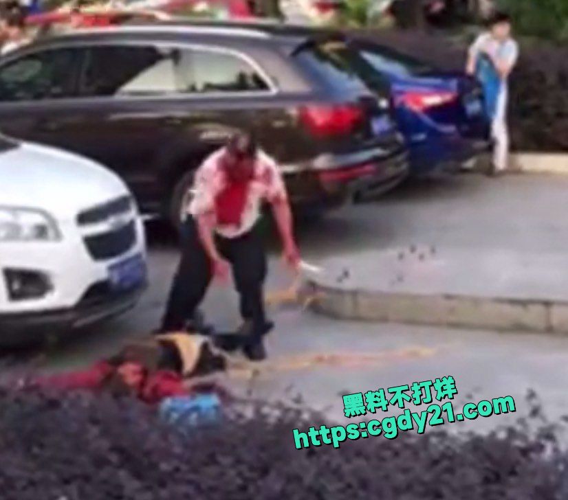 街头杀人肠子都拽出来了5