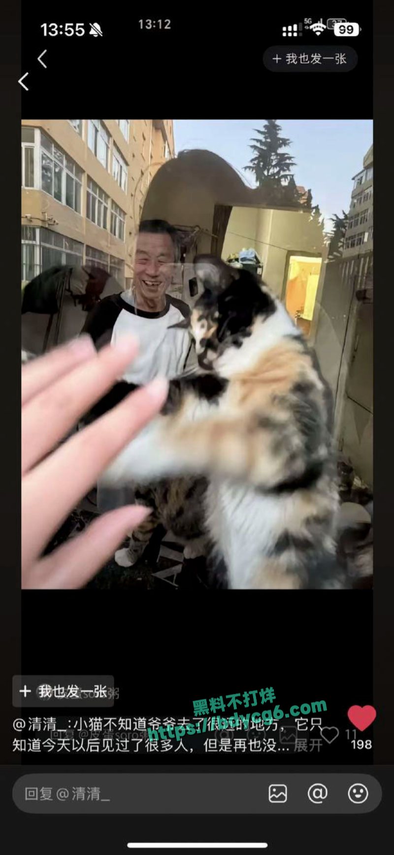 青岛大学的门卫大爷中暑热死了8