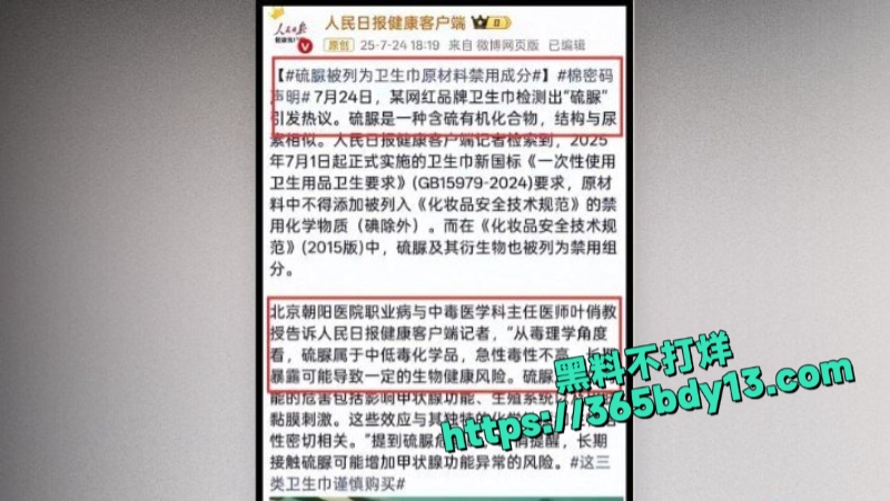 知名电商主播辛巴2