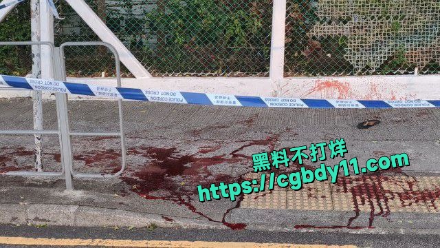 一名52歲男子於街頭被兩名刀手追斬，身體多處中刀送院後不治7.jpg