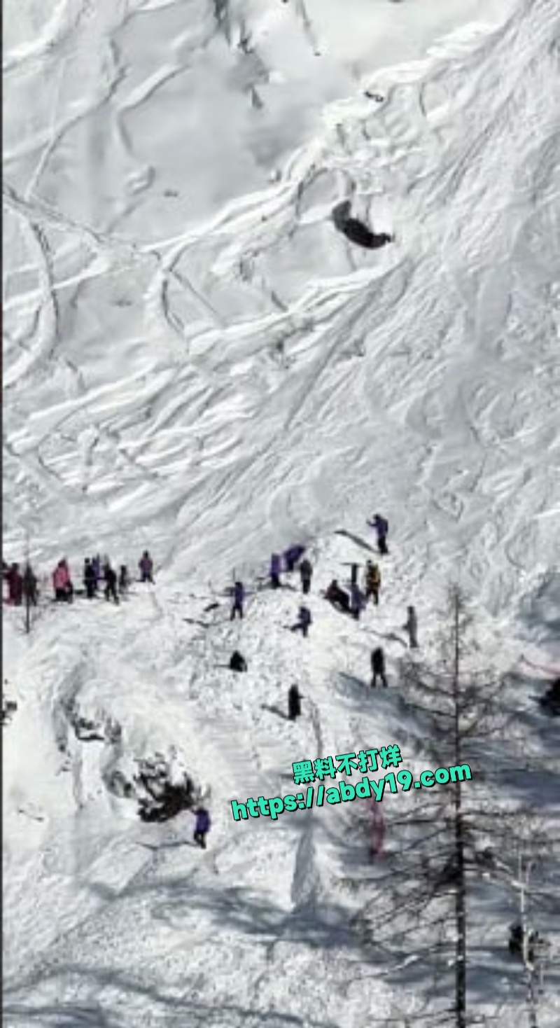 疆喀纳斯吉克普林滑雪场雪崩 6
