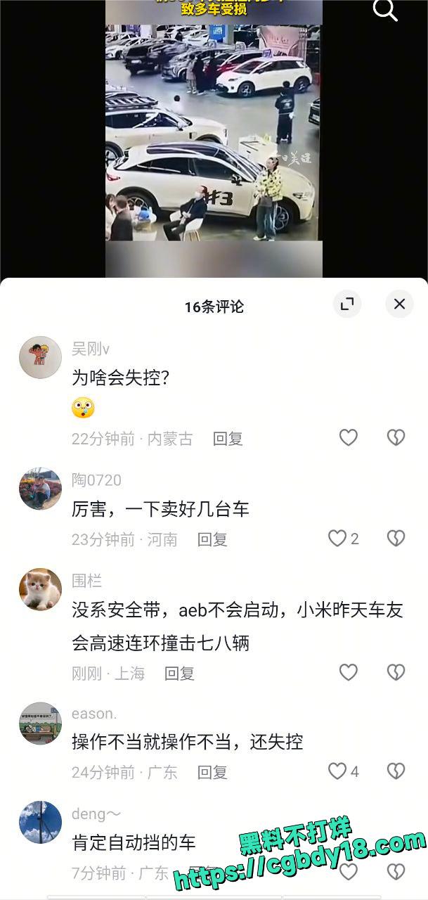 沈阳车展连撞四车2