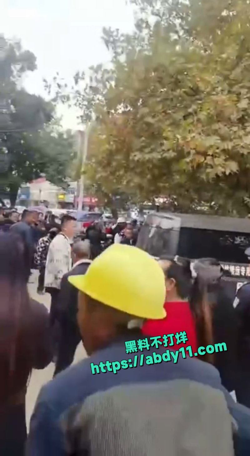 益阳又一大新闻8