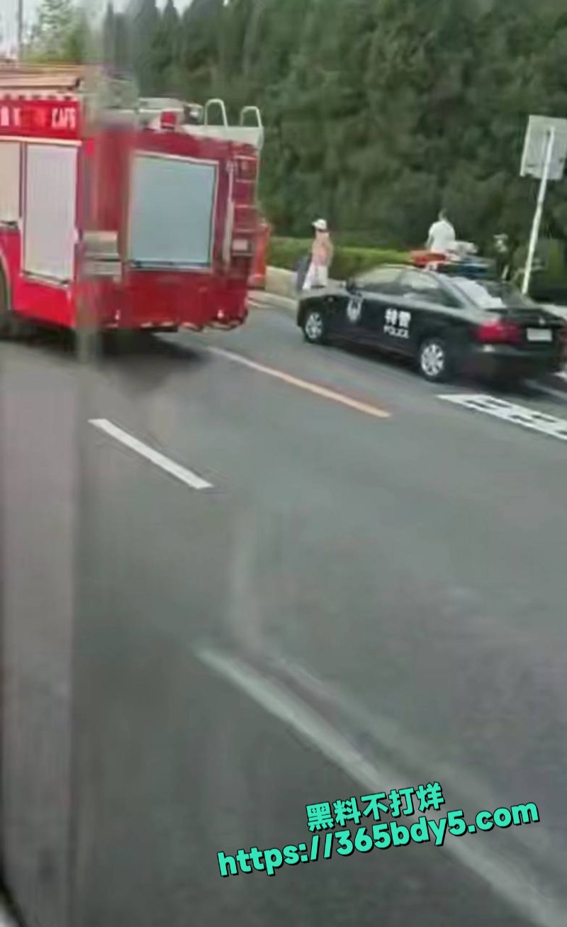 大连车祸4