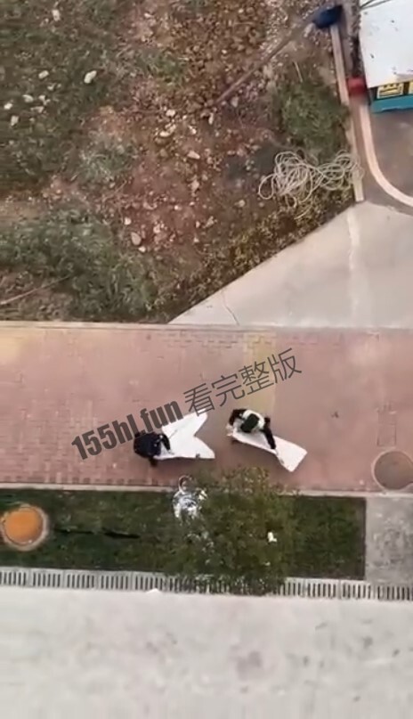 屏幕截图 2023-03-27 092628.jpg