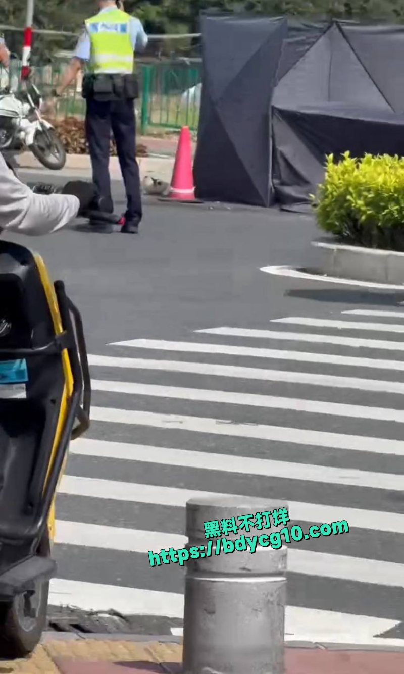 车祸年轻的女孩子头直接爆炸了2