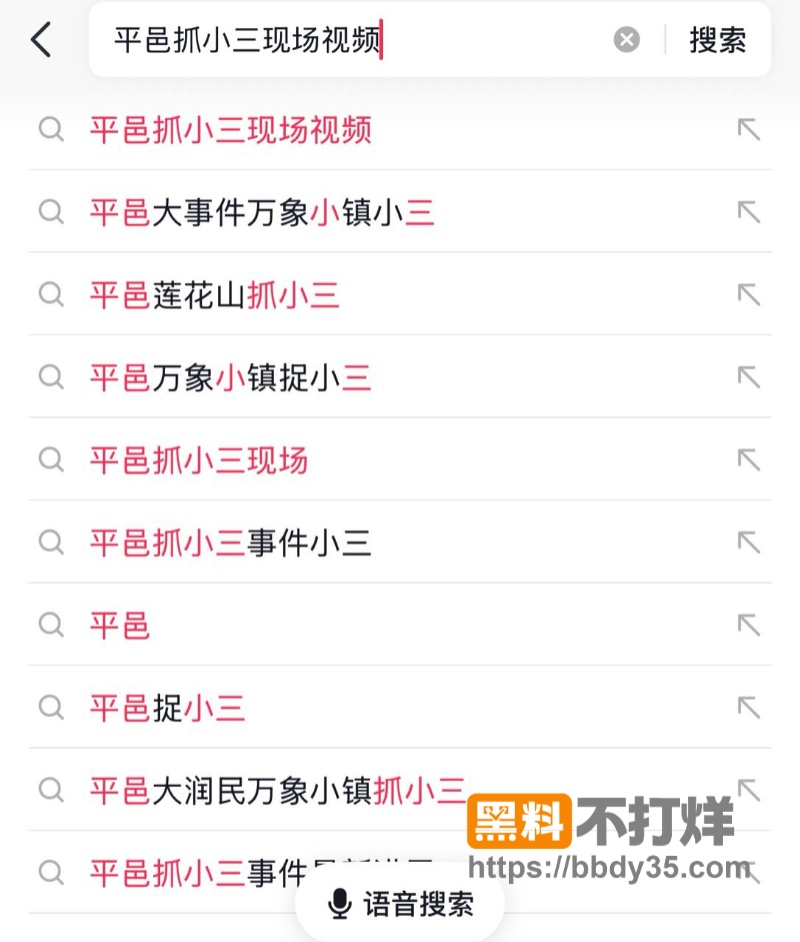 山东平邑抓小三事件09