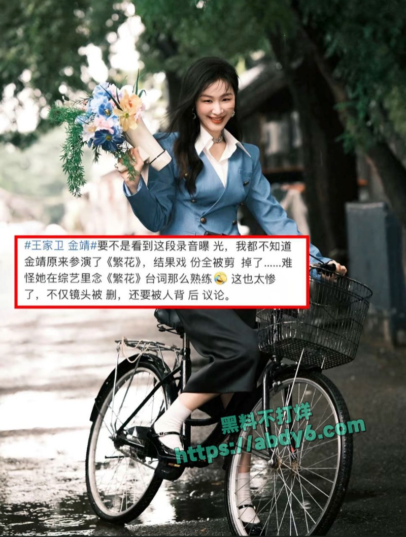 中国影视编剧古二爆王家卫秦雯录音 10