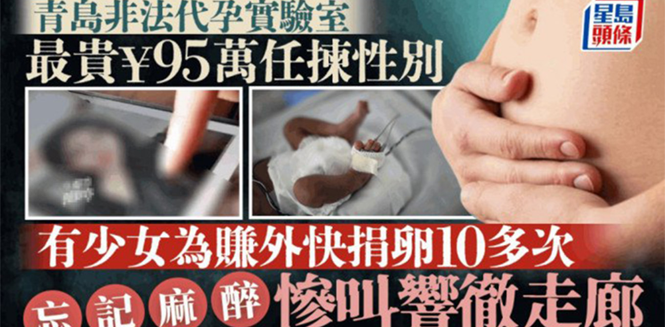 青岛又曝大瓜！原来青岛路虎姐打人事件是为了转移网友的视线 从而遮掩代孕丑闻！