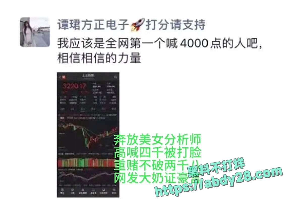 4000点分析师谭珺爆料怀了广发基金杨冬孩子 25
