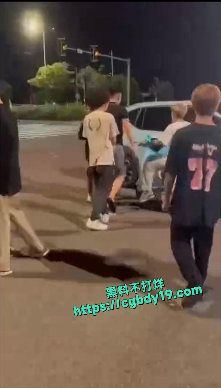 中澳精神小伙偷车被打1