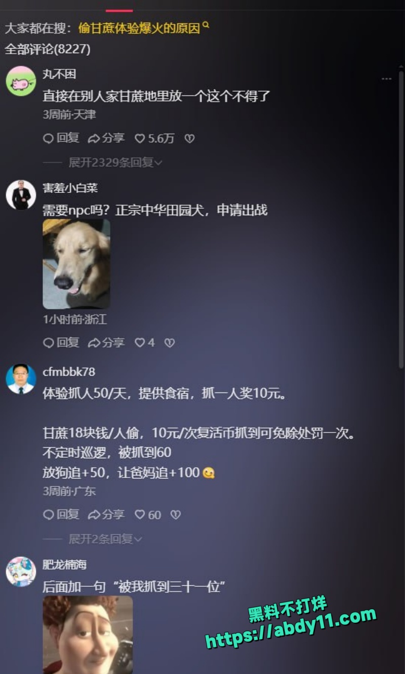 偷甘蔗活动7