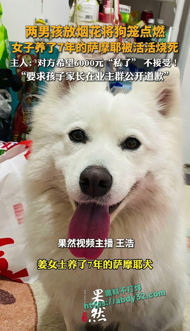 连云港两男孩烧死笼中萨摩耶  10