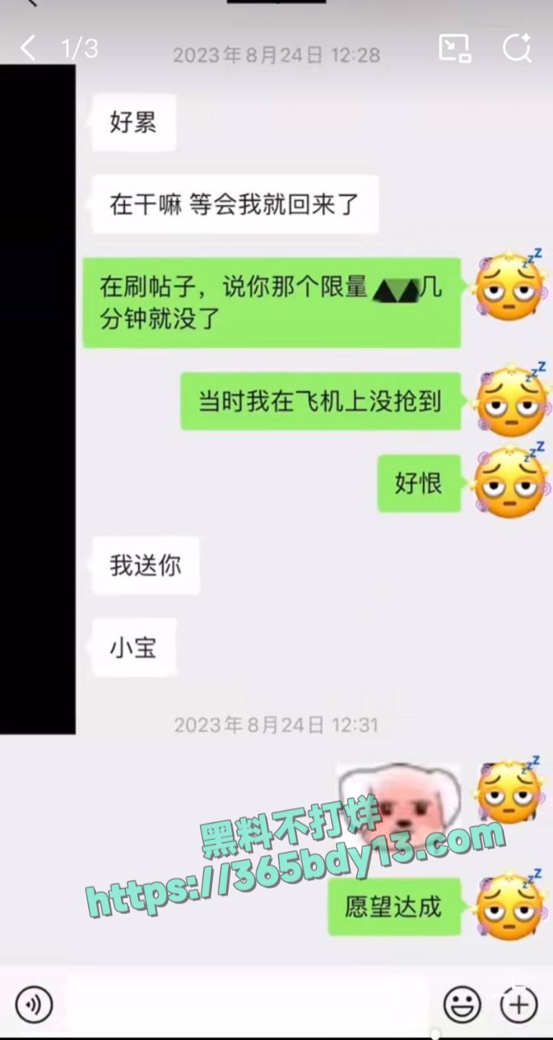 女网友与魏大勋聊天记录17