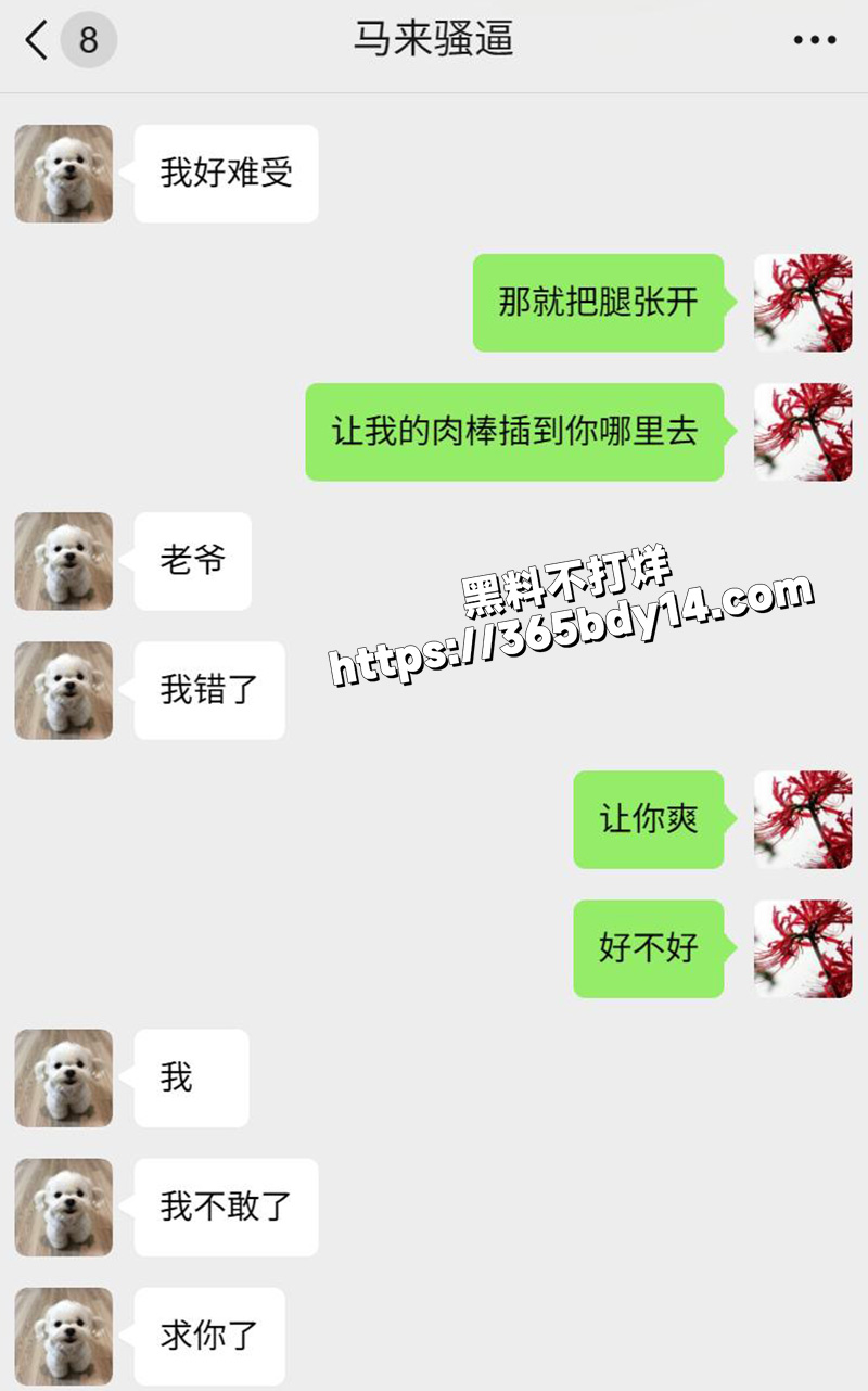 网调马来西亚小妞8